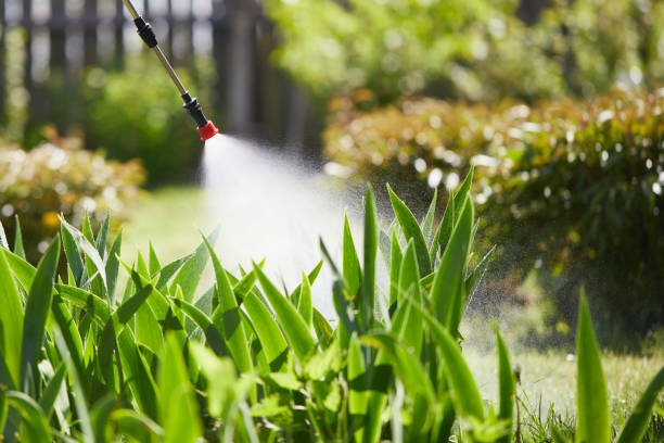 24/7 Emergency Ant Control experts in Bernardsville, NJ