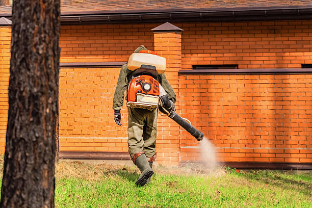 Trusted Cockroach Control service in Bernardsville, NJ - Nex Pest Control